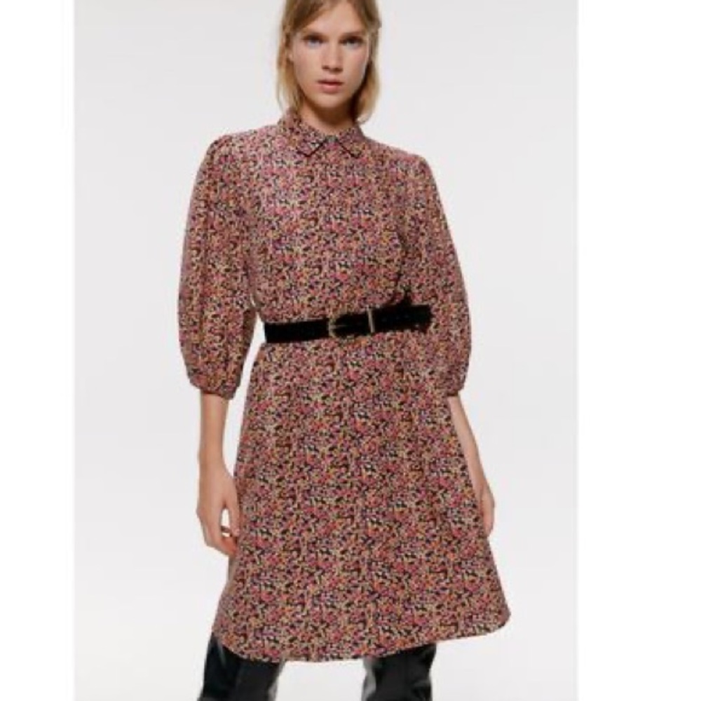 Zara Floral Button down Dress